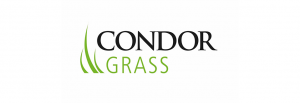 CONDOR GRASS